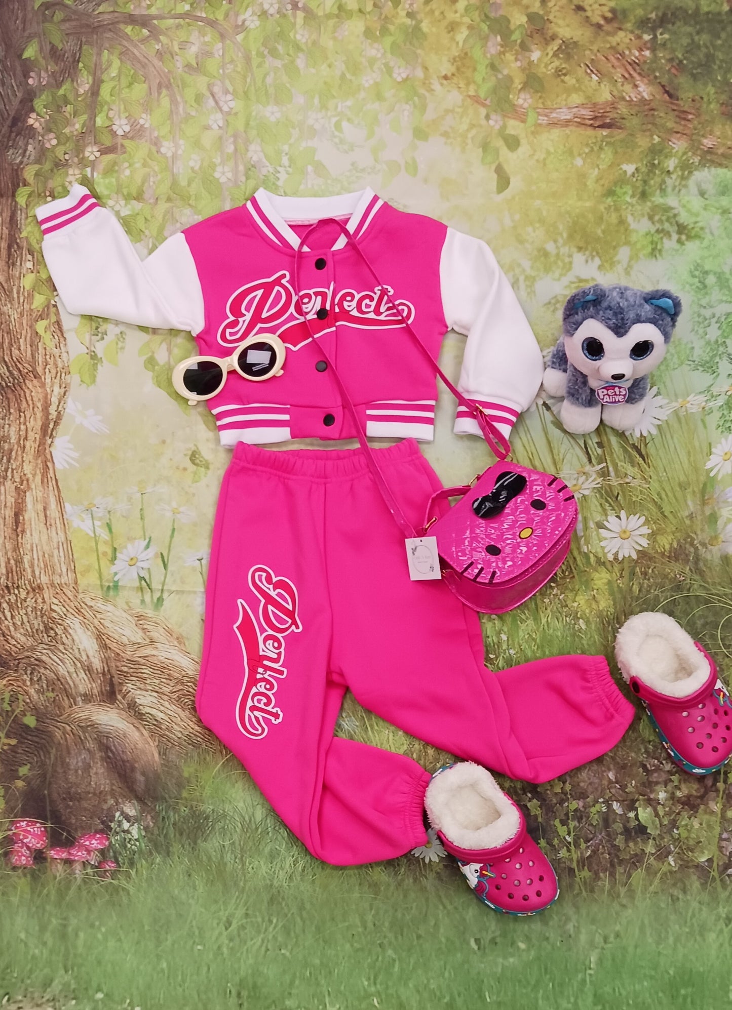 Girls Sweatpants & Jacket Jogger Set