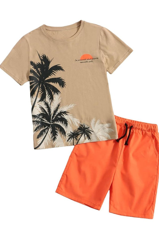 Boy's  2 piece  Outfits  Casual  Graphic  Shorts  Sleeve  Tee and Shorts  Set