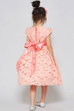 Girls Coral Floral lace Dress - Little N Kute Boutique